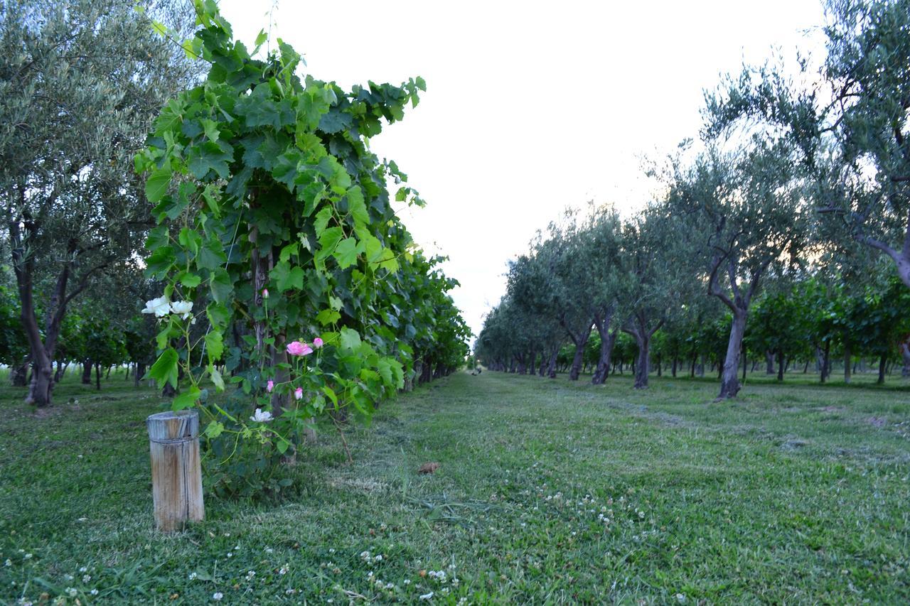مايبو Finca Fisterra المظهر الخارجي الصورة