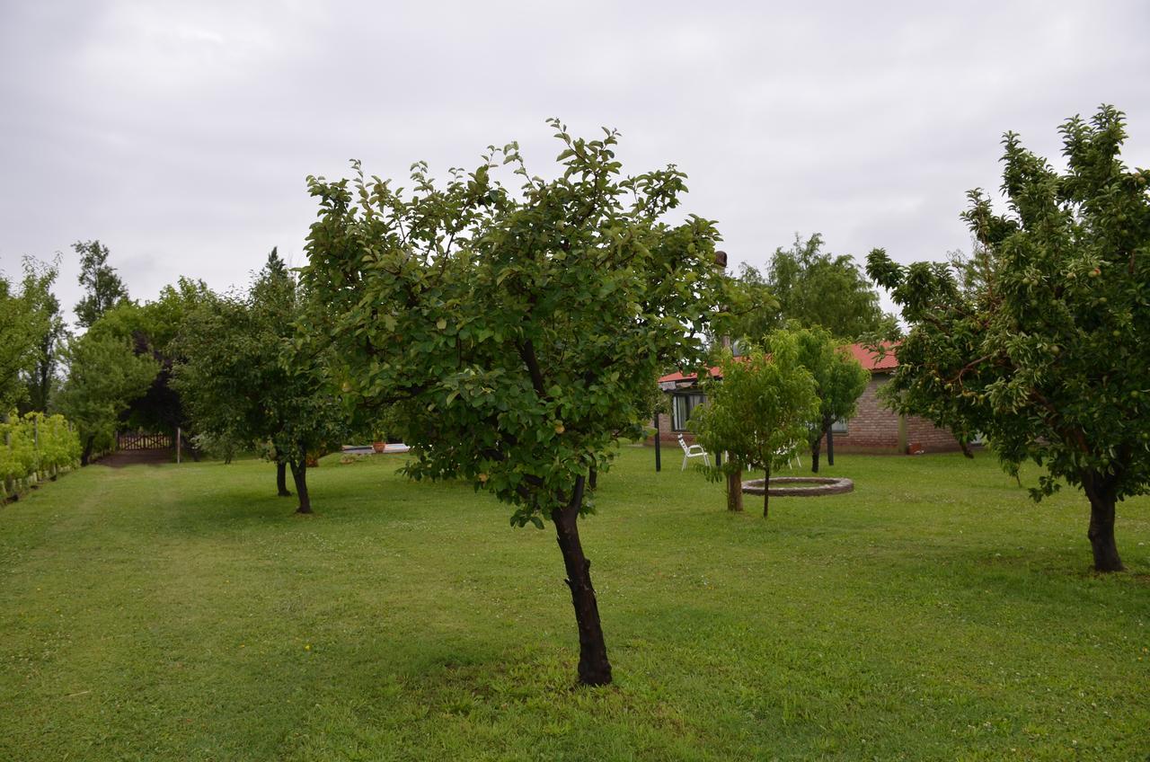 مايبو Finca Fisterra المظهر الخارجي الصورة