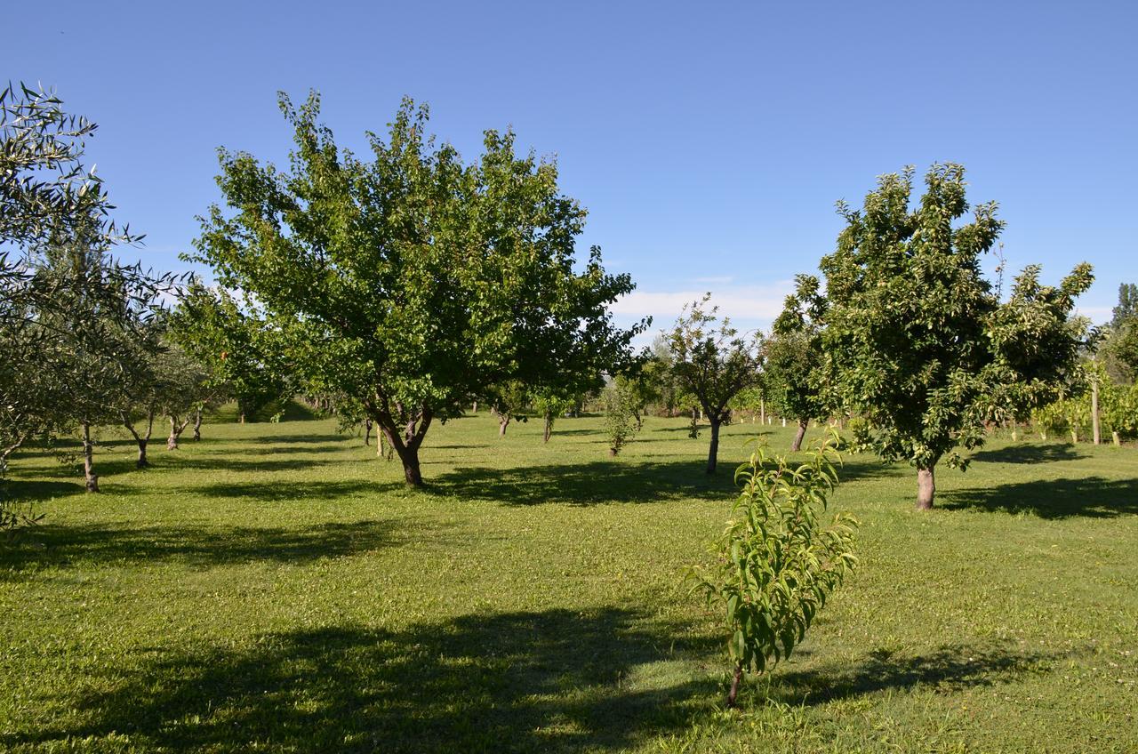 الشقق الفندقية مايبوفي  Finca Fisterra المظهر الخارجي الصورة