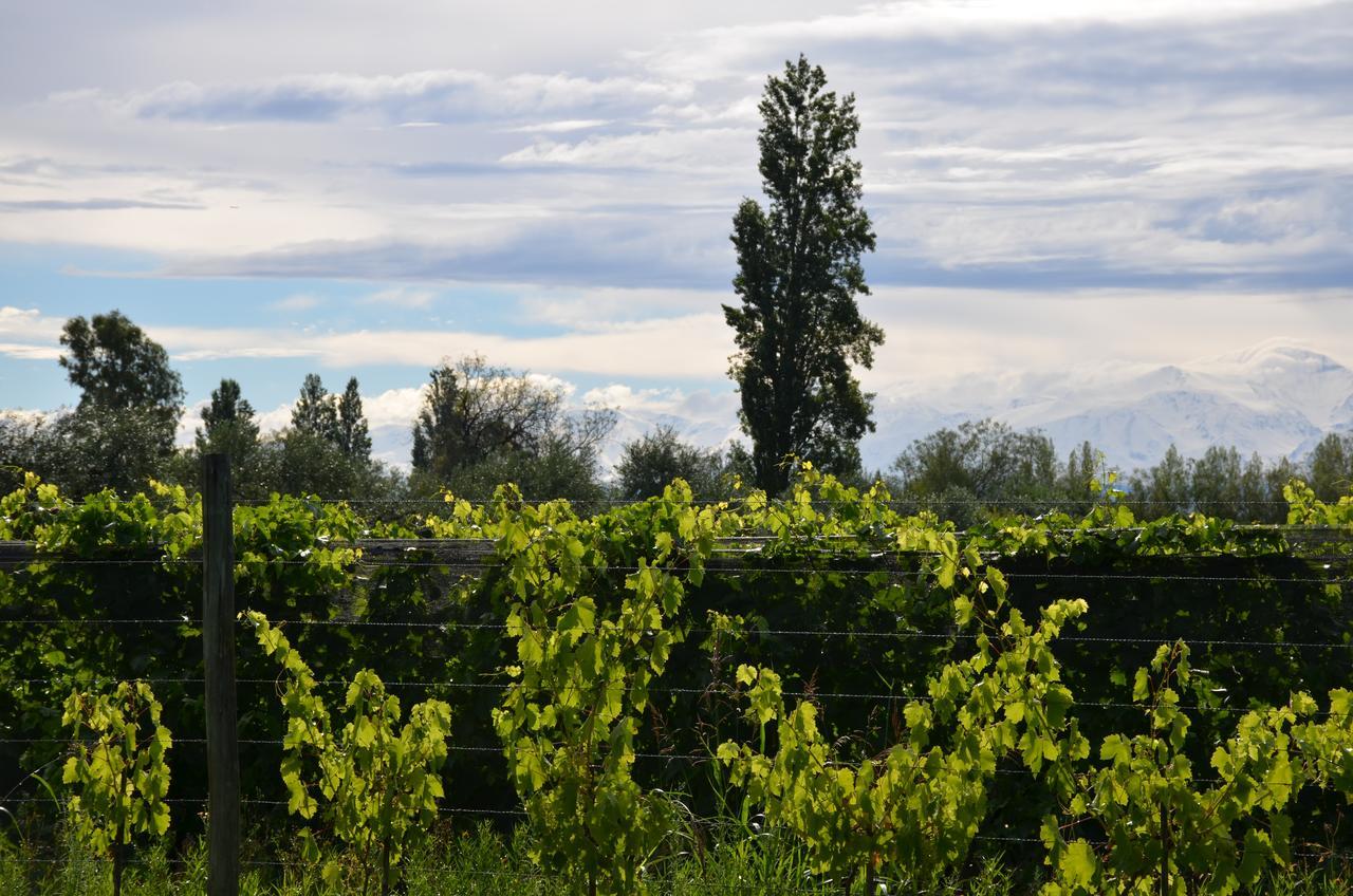 مايبو Finca Fisterra المظهر الخارجي الصورة