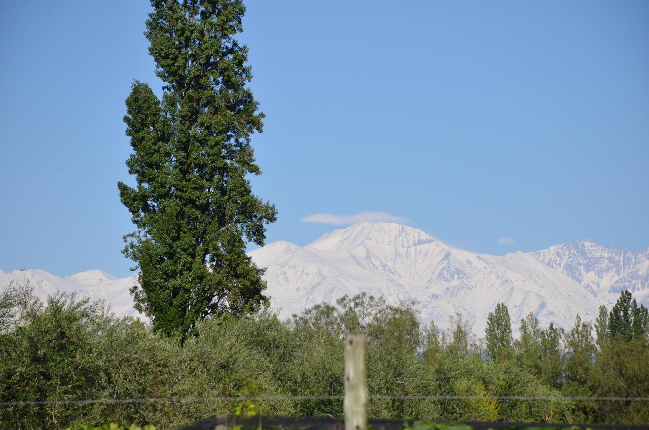 الشقق الفندقية مايبوفي  Finca Fisterra المظهر الخارجي الصورة