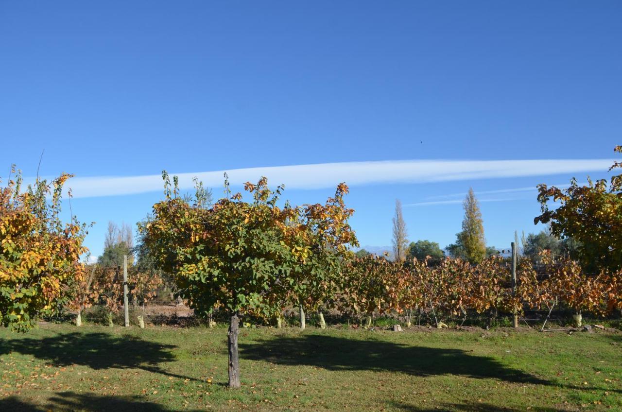 مايبو Finca Fisterra المظهر الخارجي الصورة