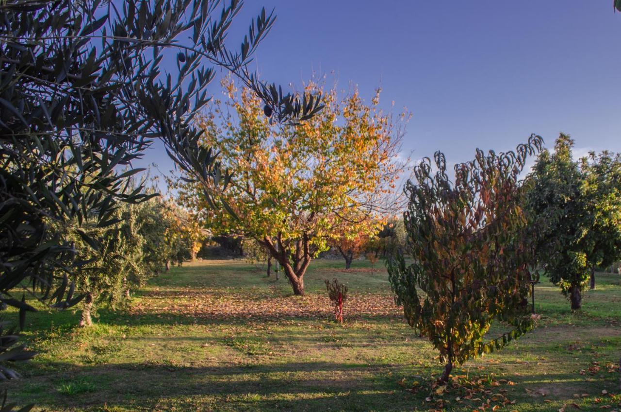 مايبو Finca Fisterra المظهر الخارجي الصورة