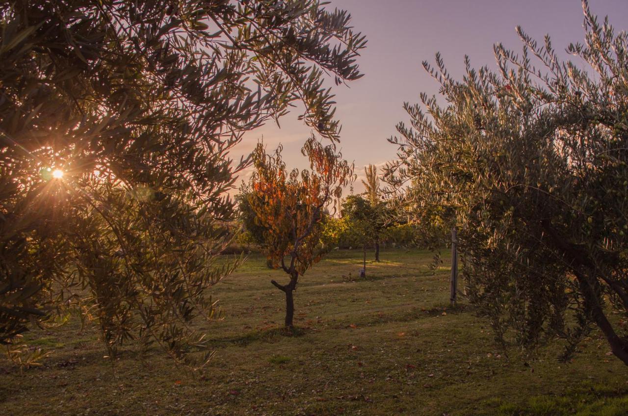 مايبو Finca Fisterra المظهر الخارجي الصورة