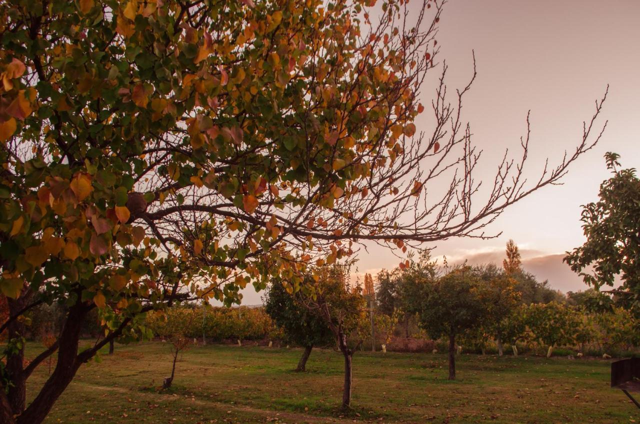 الشقق الفندقية مايبوفي  Finca Fisterra المظهر الخارجي الصورة