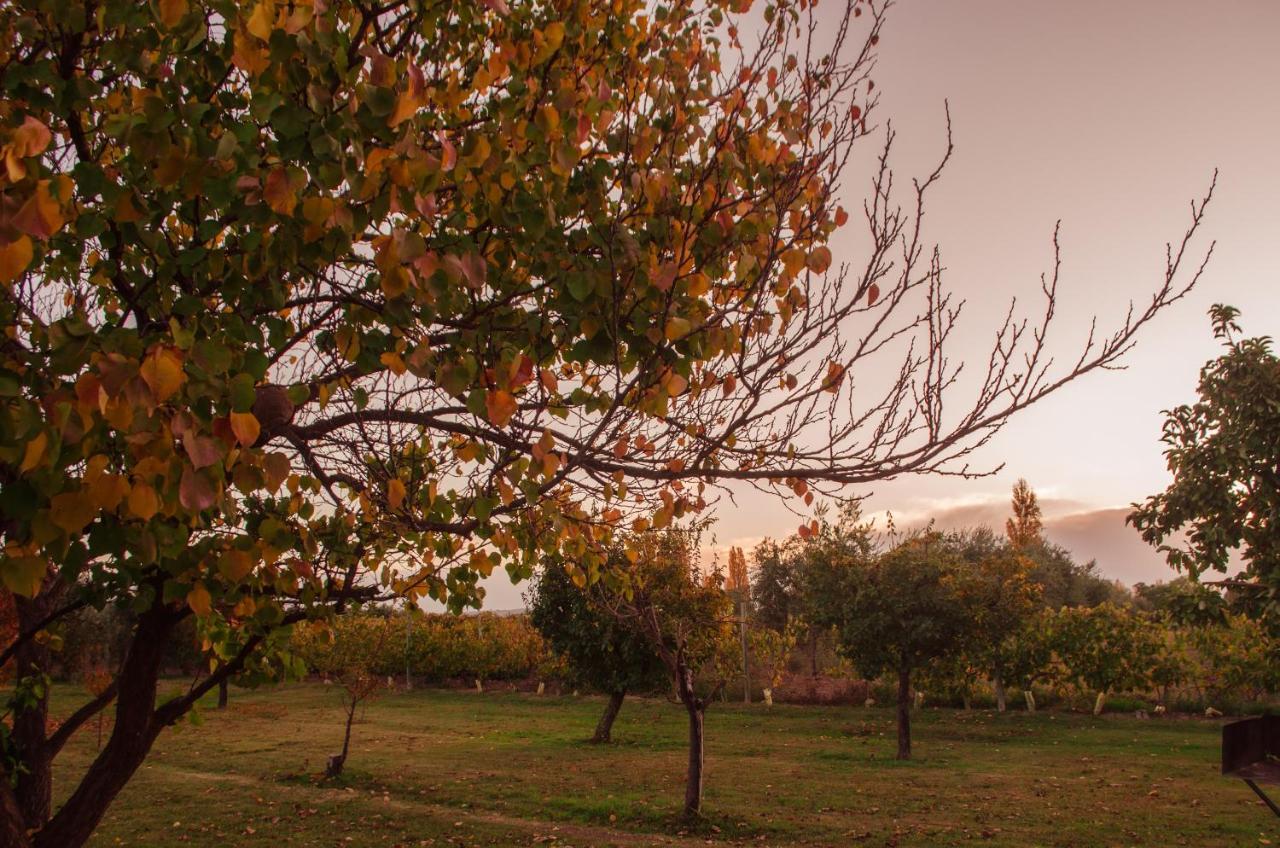 مايبو Finca Fisterra المظهر الخارجي الصورة